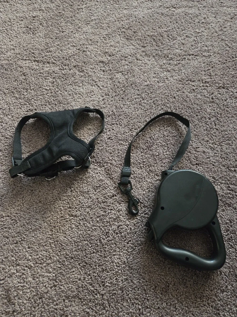 Dog Harness XS and Retractable Leash
